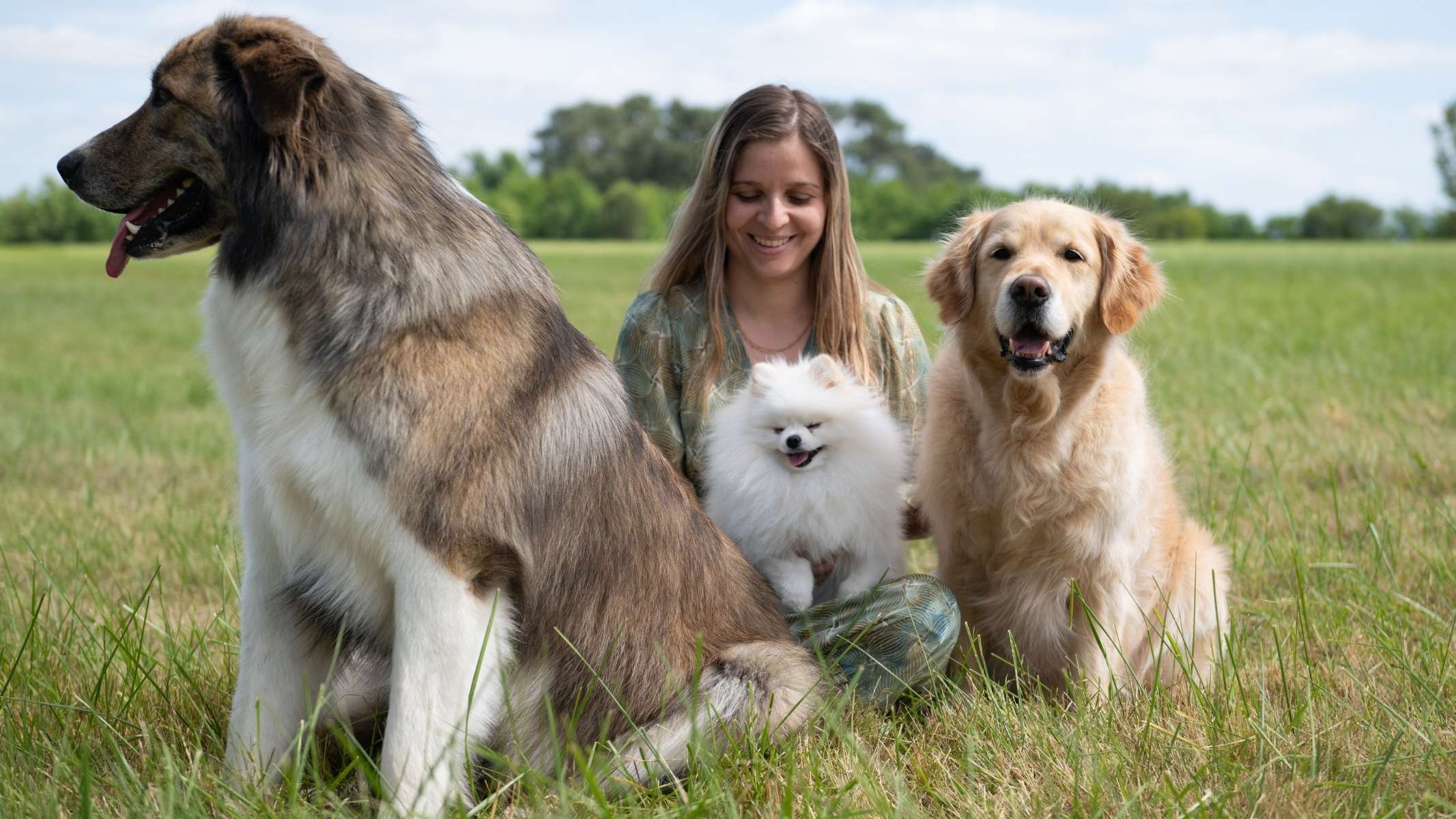 Ophélie la fondatrice de la boutique pour chien Trop Wouaf avec ses 3 chiens