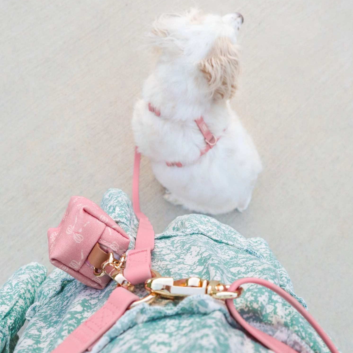 porte-sacs à crottes chien rose accroché à la laisse
