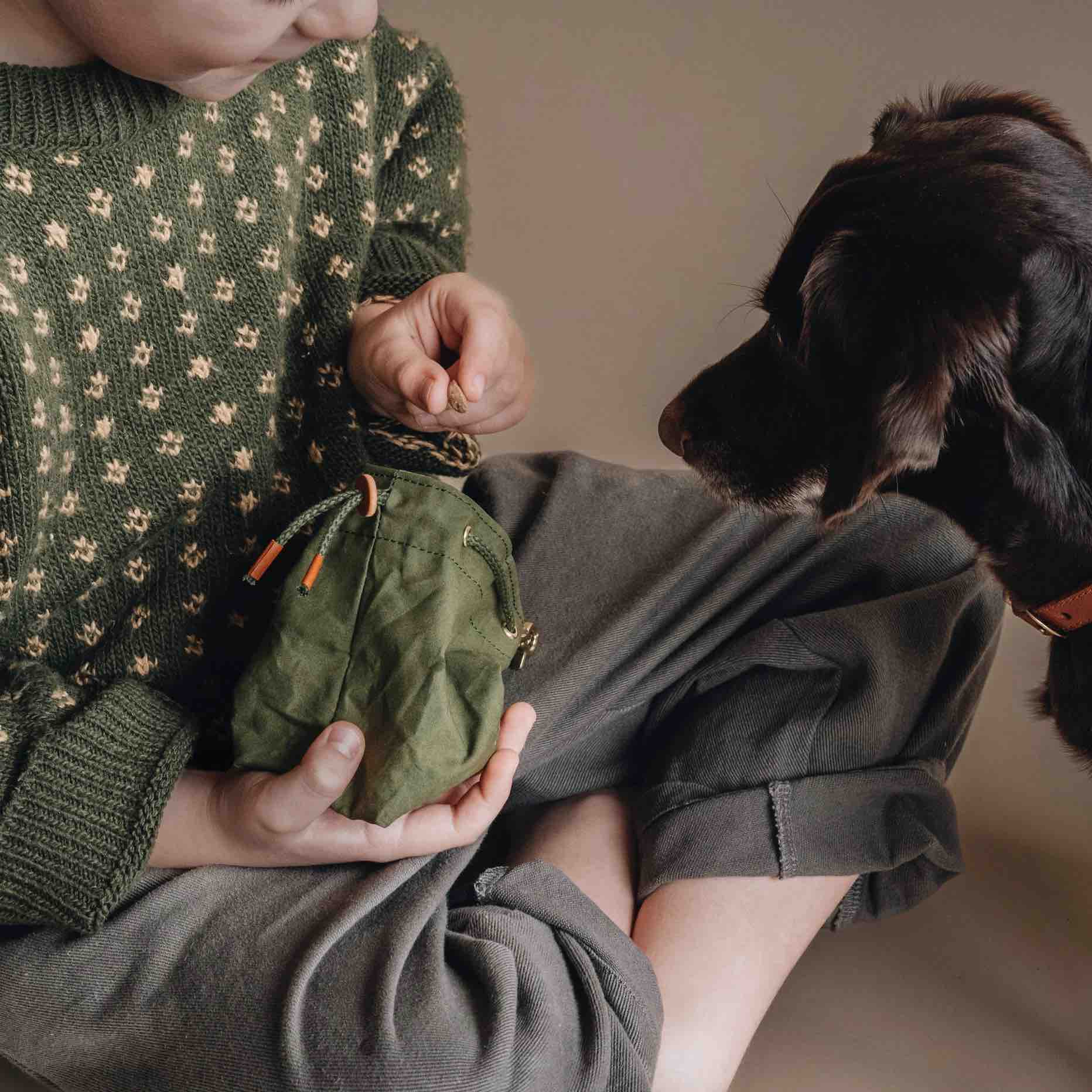 sac à friandises pour chien avec mousqueton métal