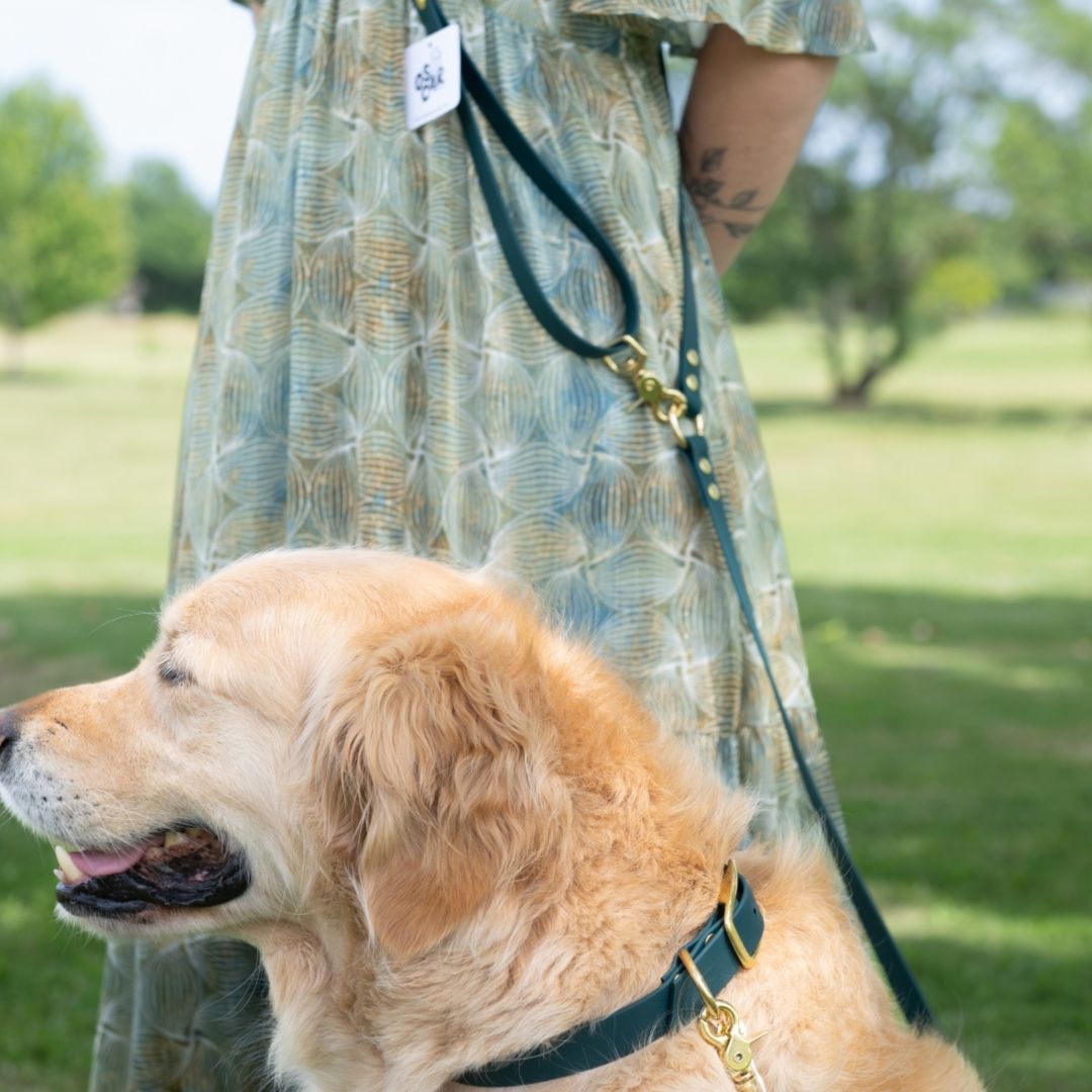 Laisse multi positions sur laquelle on peut accrocher un porte-sacs crotte chien